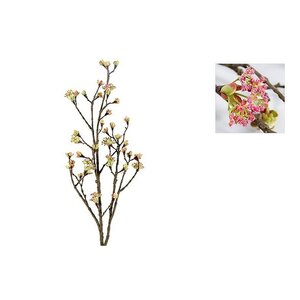 Countryfield Dekorativer Zweig | Ahorn Quitte | Rosa | 110cm