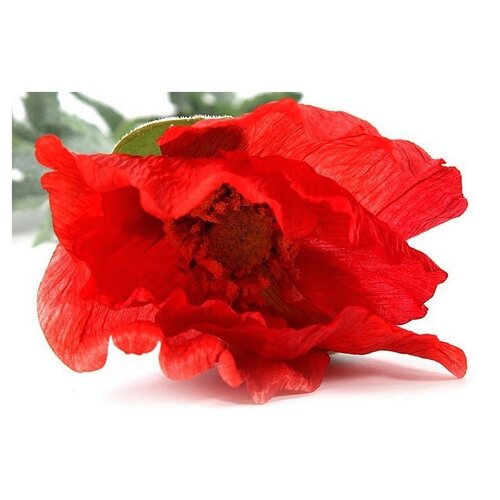 Countryfield Decorative branch Papaver Jodie Rood - 76 cm