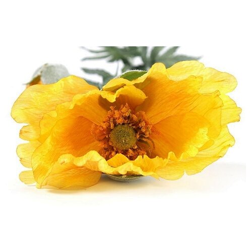 Countryfield Decorative branch Papaver Jodie Geel - 76 cm