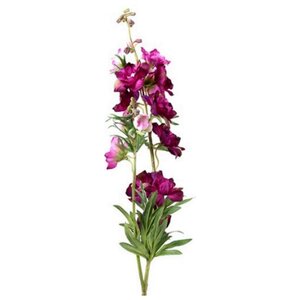 Countryfield Delphinium Jesika lila - 90 cm