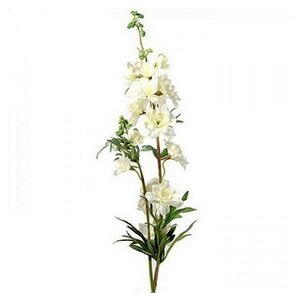 Countryfield Delphinium Jesika Creme - 90 cm