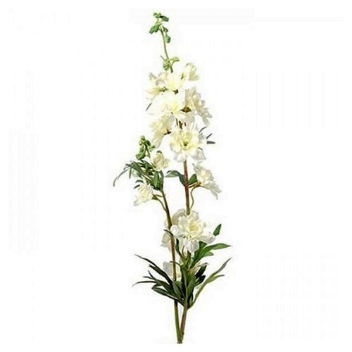 Countryfield Delphinium Jesika Creme - 90 cm