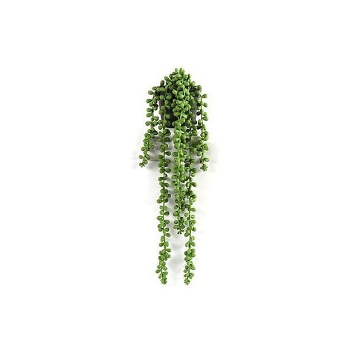 Countryfield Senecio Rowleyanus Green - 43 cm