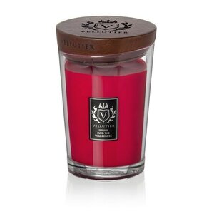 Vellutier Vellutier scented candle Large Into the Wilderness - 16 cm / Ø 11 cm