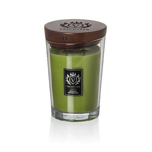 Vellutier Vellutier scented candle medium ancient oakwoods - 12 cm / Ø 9 cm