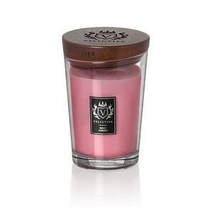 Vellutier Vellutier scented candle medium rosy cheeks - 12 cm / Ø 9 cm