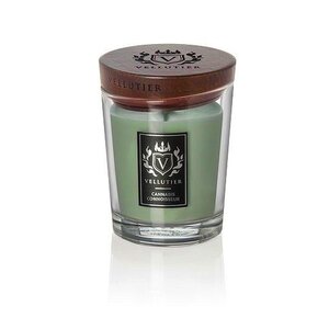 Vellutier Vellutier scented candle medium cannabis connoisseur - 12 cm / Ø 9 cm