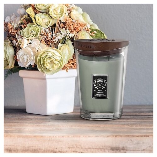 Vellutier Vellutier scented candle Small Cannabis Connoisseur - 9 cm / Ø 7 cm