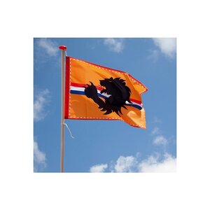 Drapeurs de supporters Orange | 60 x 90 cm