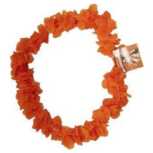 Hup Holland Hup Hawaii Collier