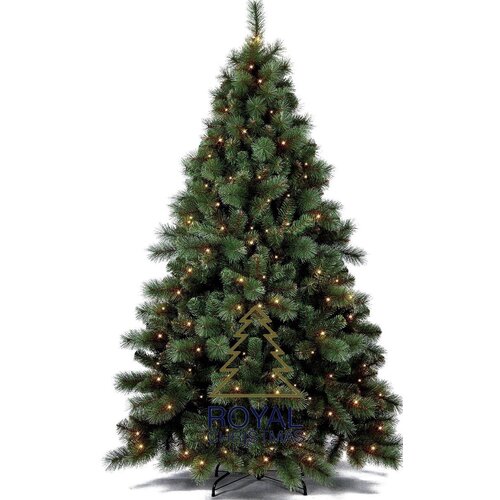 Royal Christmas Royal Christmas Kunstkerstboom Victoria 180 cm avec LED Royal Christmas Royal Christmas Kunstkerstboom Victoria 180 cm avec LED