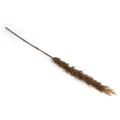 Countryfield Decorative branch Astilbe | Brown | 110 cm