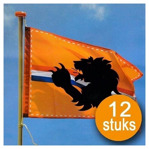 Orangefarbene Dekoration | 12 Stück Flagge Orange 60 x 90 cm | WM 2022 Holland mit Löwen