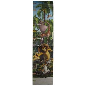 Tabla de crecimiento de Madagascar 160 cm Tabla de crecimiento de Madagascar 160 cm
