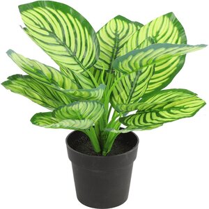 Countryfield Countryfield Artificial Plant Calathea 15 x 28 cm - Green