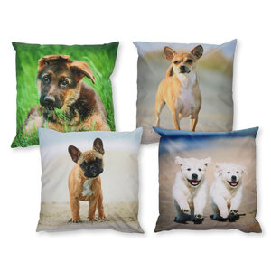 Esschert Design Outdoor cushion 40 x 40 cm with dog print - Including filling - 1 piece