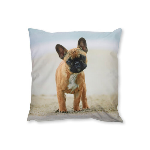 Esschert Design Outdoor cushion 40 x 40 cm with dog print - Including filling - 1 piece