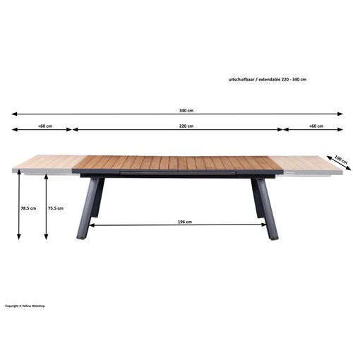 Mondial Living Table de jardin Fontana Bois/Teck Extensible 220-340 cm | Cadre en aluminium anthracite