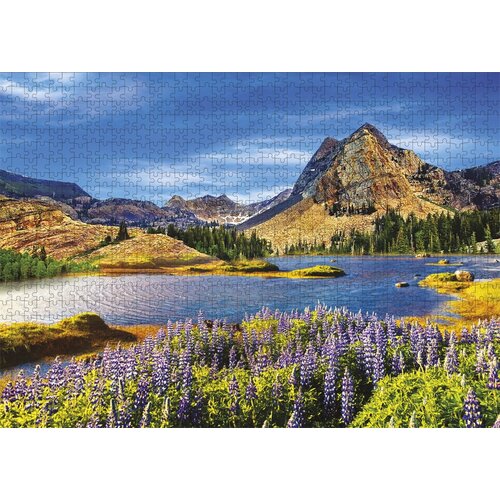 Puzzle Vue sur le lac 50 x 70 cm - 1000 pièces