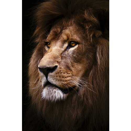 ter Halle Glass painting Lion's head 80 x 120 cm