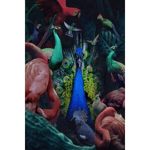 ter Halle Dipinto su vetro Bird Parade 80 x 120 cm ter Halle Dipinto su vetro Bird Parade 80 x 120 cm