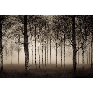 ter Halle Glascchilderij Bomen in nevel 120 x 80 cm