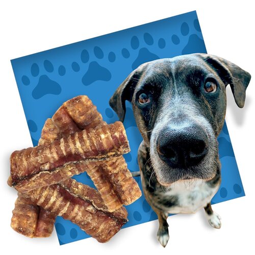 Snack pour chien Tronc de buffle 12 cm - 10 sachets de 300 grammes Snack pour chien Tronc de buffle 12 cm - 10 sachets de 300 grammes