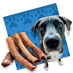 Hundesnack Büffelrüssel 30 cm - 10 Beutel à 300 Gramm
