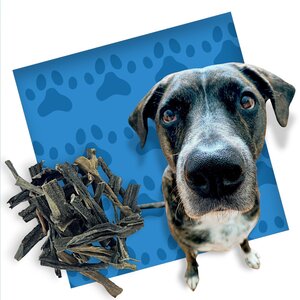 Hundesnack Kutteln 12–15 cm – 3 Beutel à 300 Gramm