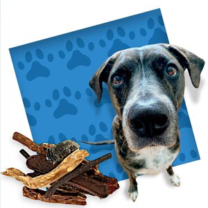 Hundesnack Mixed Grill - 5 Beutel à 400 Gramm