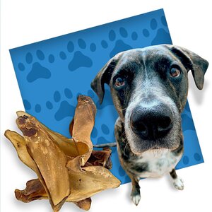 Hundesnack Buffalo Ears - 5 Beutel à 4 Stück
