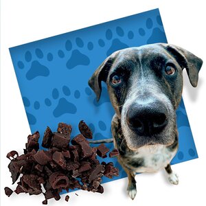 Hundesnack-Rindfleischstreifen – 10 Beutel à 350 Gramm