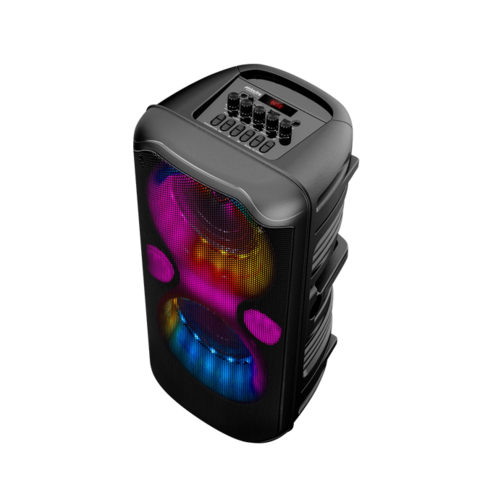 Pickering Pickering Portable Speaker Elegance 150 - Max 300 Watt