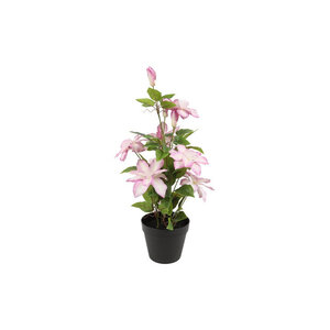 Countryfield Countryfield Artificial Clematis Pink - 20 x 20 x 58 cm