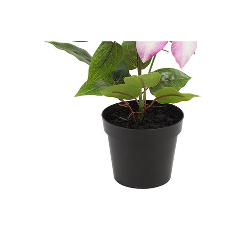 Countryfield Countryfield Künstliche Clematis, Rosa, 20 x 20 x 58 cm