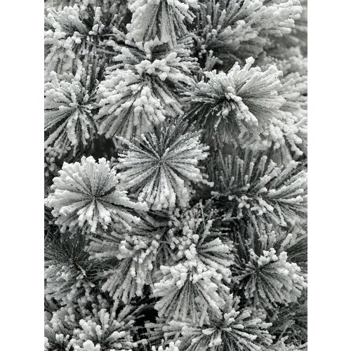 XMS-Trees XMS-Trees Kunstkerstboom Fairbanks H150 x Ø76 cm - met besneeuwde takken - Brandvertragend