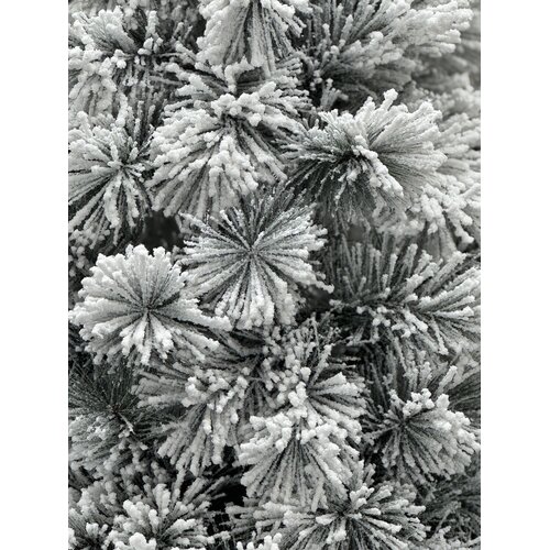 Artificial Christmas tree with snow 240 cm