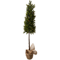 Kiefernbaum mit Jute-Topf – 106 cm
