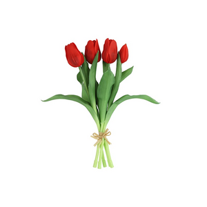 Countryfield Countryfield Tulipa Boeket - Tulpen - Donkerrood - 30 cm