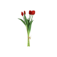 Ramo de tulipanes Countryfield - Tulipanes - Rojo oscuro - 40 cm