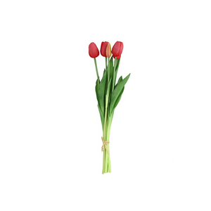 Countryfield Countryfield Tulipa Boeket - Tulpen - Fuchsia - 40 cm