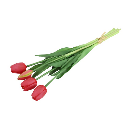 Countryfield Countryfield Tulpenstrauß – Tulpen – Fuchsia – 40 cm