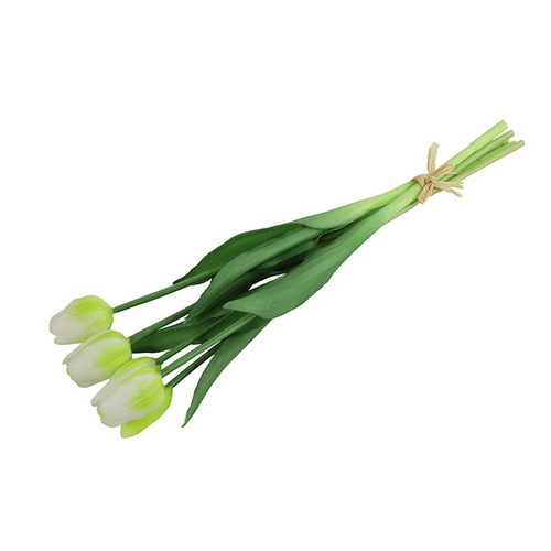 Countryfield Countryfield Tulpenstrauß – Tulpen – Weiß – 40 cm