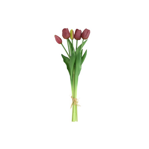 Countryfield Countryfield Tulipa Boeket - Tulpen - Paars - 40 cm