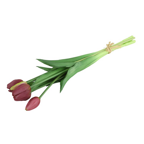 Countryfield Countryfield Tulipa Boeket - Tulpen - Paars - 40 cm