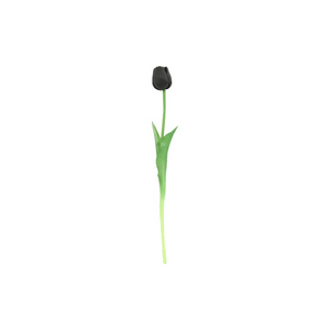 Countryfield Countryfield Tulipa Tulip - Black - 45 cm