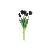 Ramo de tulipanes Countryfield Tulipa Parakeet - Tulipanes - Negro - 40 cm