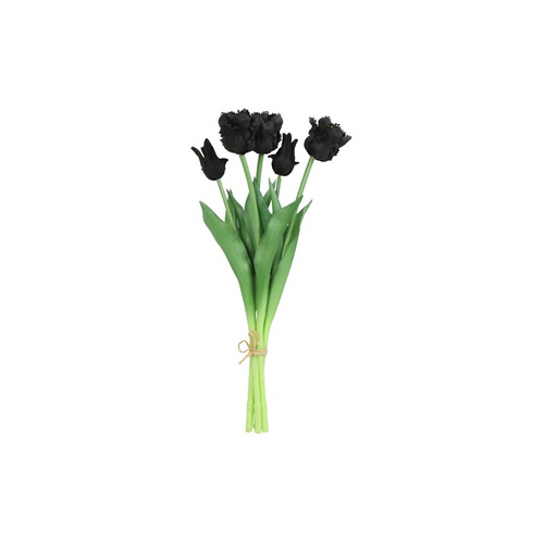 Countryfield Countryfield Tulipa Parkiet Boeket - Tulpen - Zwart - 40 cm