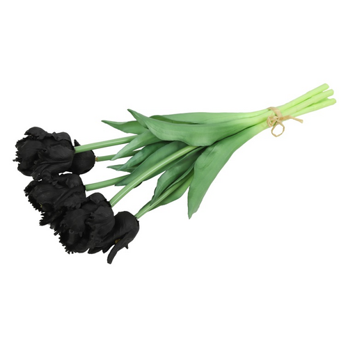 Countryfield Countryfield Tulipa Parkiet Boeket - Tulpen - Zwart - 40 cm