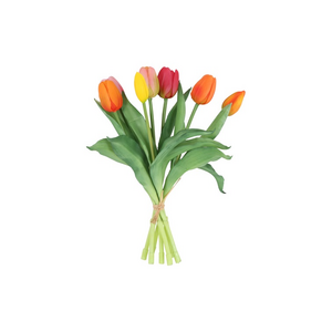 Countryfield Countryfield Tulipa Boeket - Tulpen - Veelkleurig C - 30 cm